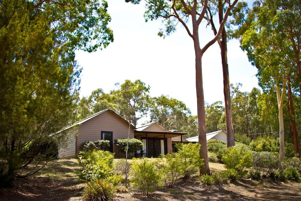 New Gokula Farm