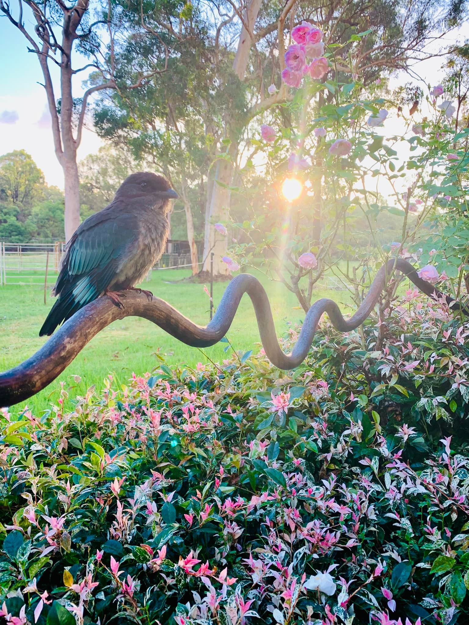 Hunter Valley Retreat Centre